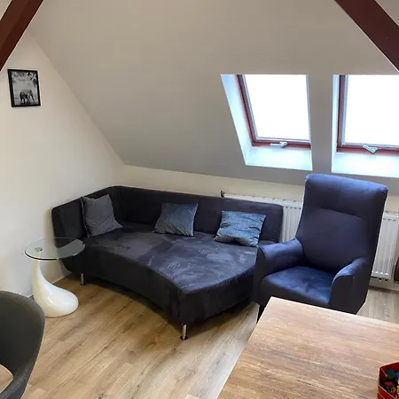 Fewo Wieko Plauen Leibnizstr. H1, Dg Rechts Exterior foto
